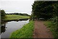 Stourbridge Canal towards Bell