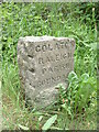 Old Boundary Marker on the B3180 on Woodbury Common