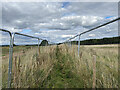 HS2 enabling works near Cubbington, September 2021 (8)