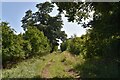 Public footpath through Hall Plantation, Crowfield