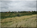 Over  marshes  to  Orford  from  River  Ore  floodbank