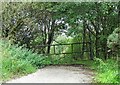 Old gate into Billingside Plantation