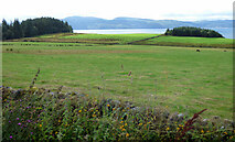 NR9277 : Farmland south of Kilfinan by Thomas Nugent