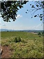 View from Gold Hill Trig Point