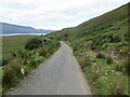 NH0891 : Minor road descending to Badrallach and Little Loch Broom by Peter Wood