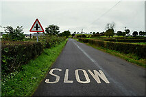 H5064 : Slow markings along Augher Point Road by Kenneth  Allen