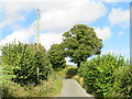 TQ6259 : Pilgrims' Way, near Wrotham by Malc McDonald