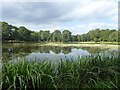 Top pond for Fen Place Mill