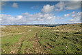 SD4489 : Track on the plateau, Whitbarrow by Andy Waddington