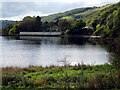 Cwm Rheidol Reservoir