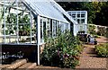 NO4107 : Greenhouses, Teasses Estate, Fife by Jerzy Morkis