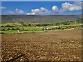 Field on Island Road ploughed for re-grazing