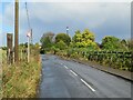 TQ6760 : Birling Road, near Ryarsh by Malc McDonald