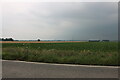 Field by Burnt Fen Turnpike near Shippea Hill