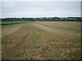 Down the field towards Stalls