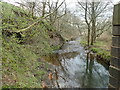 The River Churnet south of Middle Hulme