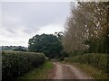 SO5369 : Former road to Little Hereford by Richard Webb