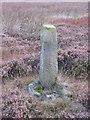 NZ6810 : Old Wayside Cross north of the bridleway from Robin Hoods Butts to White Cross by Mike Rayner