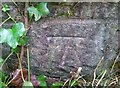 Ordnance Survey Cut Mark