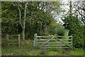 Bridleway near Pilmoor Cottages