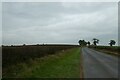 SE4776 : Road near Windmere Hill by DS Pugh