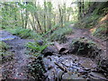 Llwybr ceffyl erydog / Eroded bridleway