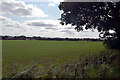 A field by Stoney Lane, Beetley