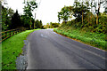 Bend along Tonnagh Road