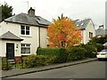 Autumn colours, Blanefield