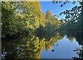 Autumn colour reflected in Mill Dam