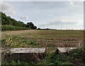 Farmland next to the B4109 Hinckley Road