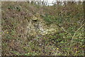 Small outcrop of chalk, Upper Wood