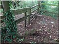 Boundary Stone, Peak Plantation, Birdlip