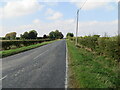 Hedge-lined Newton Road near The Old Windmill