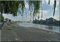 TQ2278 : The Thames at Chiswick by Neil Theasby