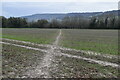 Footpath crossing field