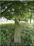 TQ9261 : Nicholas Ardizzone's grave, Rodmersham churchyard by pam fray