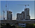 Construction site beside the A40