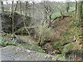 Mountain stream near Upper Hulme