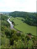 SO5616 : Wye Valley from Symonds Yat Rock by Richard Cooke