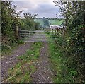 Gate across a track near Nantygelli Farm, Llangwm