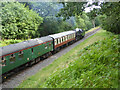 USATC class S160 6046 on 15:30 East Grinstead - Sheffield Park