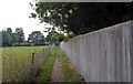 Path from High House Road to Fakenham Road, Beetley