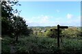 Footpath junction, Postern Hill, Savernake Forest