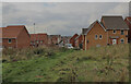 View from Pan Country Park