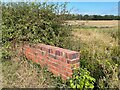 Cut Mark: Knaith Park, Kexby Lane Bridge