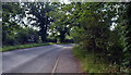 Litcham Road entering Gressenhall