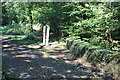 Cycle track and former tramroad