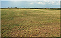 Harvested field near Kingston