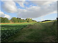 Unofficial footpath near New Houghton